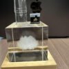 【上下分離式空煙彈】白色霧化陶瓷芯 百入組-雲霧倉庫